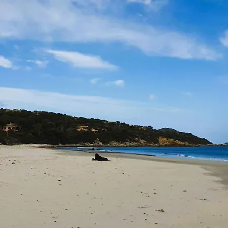 Holiday home Monolocale Simius
